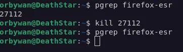 kill a process in Linux